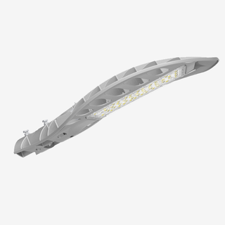 Série RS / Lâmpada de rua LED / 1 Módulo